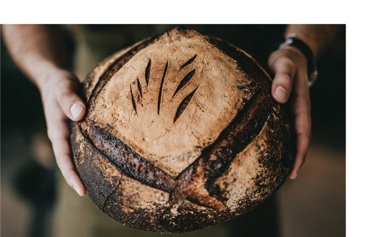 pane-rustico-rotondo